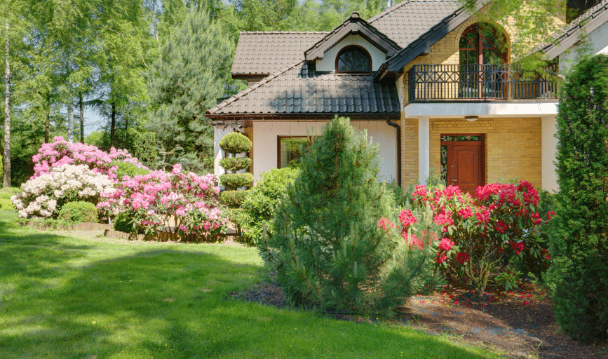 Garden Maintenance and Landscaping