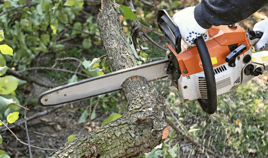 Garden Maintenance and Landscaping