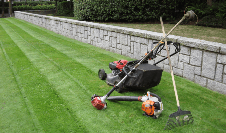 Garden Maintenance and Landscaping